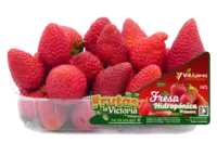 Fresa Primera por 500 gr.