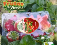 Fresa Yumbo por 500 gr.